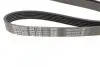 Ремінь генератора поліклиновий DAYCO 6PK1163 (фото 2)