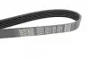 Ремінь П-клиновий Dayco DAYCO 6PK1185 (фото 3)