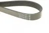 Ремінь П-клиновий Dayco DAYCO 6PK1200 (фото 3)