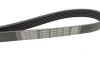 Ремінь П-клиновий Dayco DAYCO 6PK1209 (фото 3)