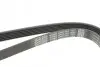 Ремінь П-клиновий Dayco DAYCO 6PK1215 (фото 4)