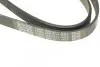 Ремінь П-клиновий Dayco DAYCO 6PK1217 (фото 3)