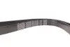 Ремінь П-клиновий Dayco DAYCO 6PK1245DT (фото 4)