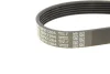 Ремінь П-клиновий Dayco DAYCO 6PK1264 (фото 5)