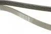 Ремінь П-клиновий Dayco DAYCO 6PK1270 (фото 3)