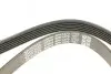 Ремінь П-клиновий Dayco DAYCO 6PK1270 (фото 4)