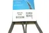 Ремінь П-клиновий Dayco DAYCO 6PK1270 (фото 6)