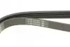 Ремінь П-клиновий Dayco DAYCO 6PK1310 (фото 3)
