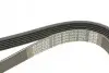 Ремінь П-клиновий Dayco DAYCO 6PK1310 (фото 4)