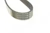 Ремінь П-клиновий Dayco DAYCO 6PK1320 (фото 3)
