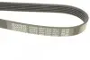 Ремінь П-клиновий Dayco DAYCO 6PK1320 (фото 4)