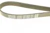 Ремінь П-клиновий Dayco DAYCO 6PK1323S (фото 4)