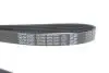Ремінь П-клиновий Dayco DAYCO 6PK1341 (фото 4)
