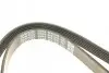 Ремінь П-клиновий Dayco DAYCO 6PK1345 (фото 4)