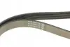 Ремінь П-клиновий Dayco DAYCO 6PK1352 (фото 3)