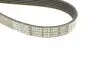 Ремінь П-клиновий Dayco DAYCO 6PK1352 (фото 4)
