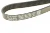 Ремінь П-клиновий Dayco DAYCO 6PK1355 (фото 4)