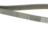 Ремінь П-клиновий Dayco DAYCO 6PK1360S (фото 3)