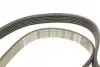 Ремінь П-клиновий Dayco DAYCO 6PK1381 (фото 4)