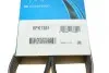 Ремінь П-клиновий Dayco DAYCO 6PK1381 (фото 6)