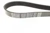 Ремінь П-клиновий Dayco DAYCO 6PK1415 (фото 3)