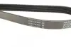 Ремінь П-клиновий Dayco DAYCO 6PK1420 (фото 3)