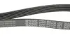 Ремінь П-клиновий Dayco DAYCO 6PK1435 (фото 2)