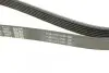 Ремінь П-клиновий Dayco DAYCO 6PK1437 (фото 3)