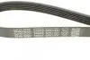 Ремінь П-клиновий Dayco DAYCO 6PK1437 (фото 4)