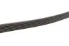 Ремінь П-клиновий Dayco DAYCO 6PK1450 (фото 2)