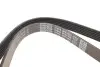 Ремінь П-клиновий Dayco DAYCO 6PK1450 (фото 3)