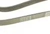 Ремінь П-клиновий Dayco DAYCO 6PK1462 (фото 3)