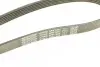 Ремінь П-клиновий Dayco DAYCO 6PK1462 (фото 4)