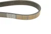 Ремінь генератора поліклиновий DAYCO 6PK1468HD (фото 5)