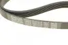 Ремінь П-клиновий Dayco DAYCO 6PK1510 (фото 4)