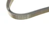 Ремінь П-клиновий Dayco DAYCO 6PK1545 (фото 4)