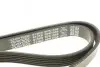 Ремінь П-клиновий Dayco DAYCO 6PK1558 (фото 4)