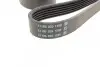 Ремінь П-клиновий Dayco DAYCO 6PK1590 (фото 2)