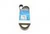 Ремінь П-клиновий Dayco DAYCO 6PK1613 (фото 1)