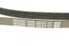 Ремінь П-клиновий Dayco DAYCO 6PK1613 (фото 4)
