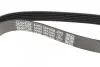 Ремінь П-клиновий Dayco DAYCO 6PK1635 (фото 3)