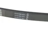 Ремінь П-клиновий Dayco DAYCO 6PK1640 (фото 3)