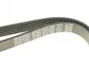 Ремінь П-клиновий Dayco DAYCO 6PK1660 (фото 4)