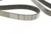 Ремінь П-клиновий Dayco DAYCO 6PK1670 (фото 2)