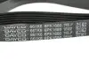 Ремінь П-клиновий Dayco DAYCO 6PK1680 (фото 2)