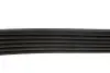 Ремінь П-клиновий Dayco DAYCO 6PK1680 (фото 3)