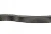 Ремінь П-клиновий Dayco DAYCO 6PK1705 (фото 2)