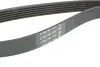 Ремінь П-клиновий Dayco DAYCO 6PK1705 (фото 3)