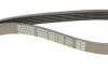 Ремінь П-клиновий Dayco DAYCO 6PK1725 (фото 5)
