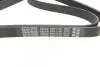 Ремінь П-клиновий Dayco DAYCO 6PK1740 (фото 3)